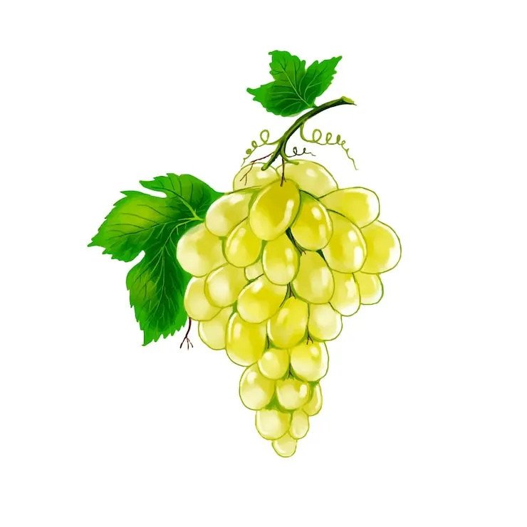 Grappe de Gordon blanc