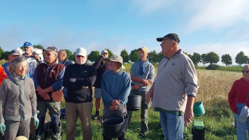 Vignobles de Chécy en automne