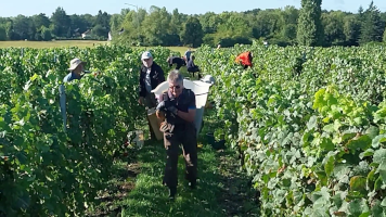 Vignobles de Chécy en automne